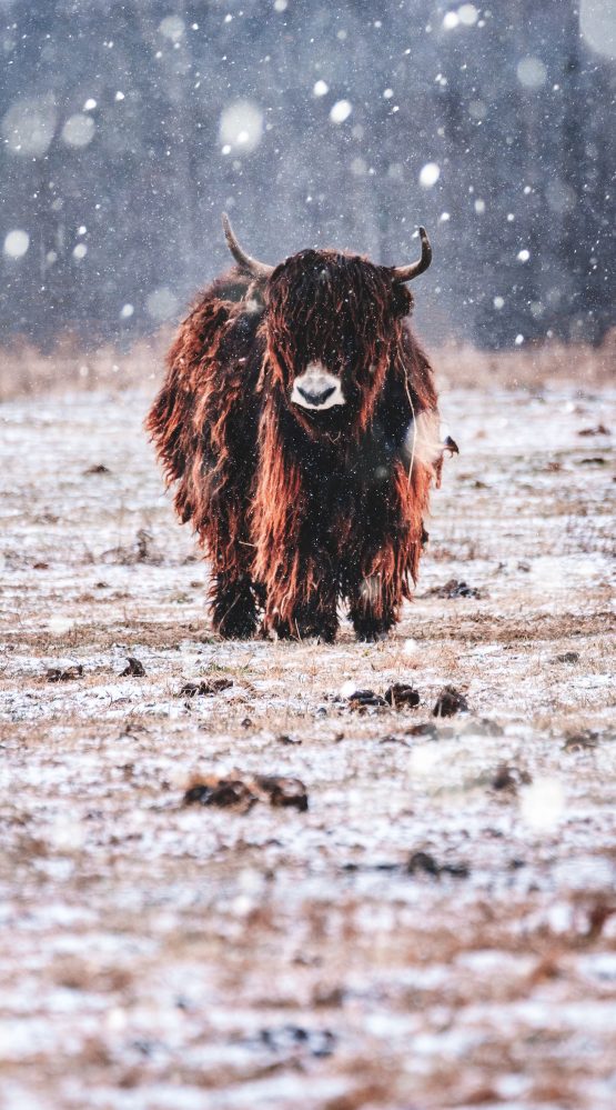 bryan-minear-319925-unsplash bryan-minear-319925-unsplash